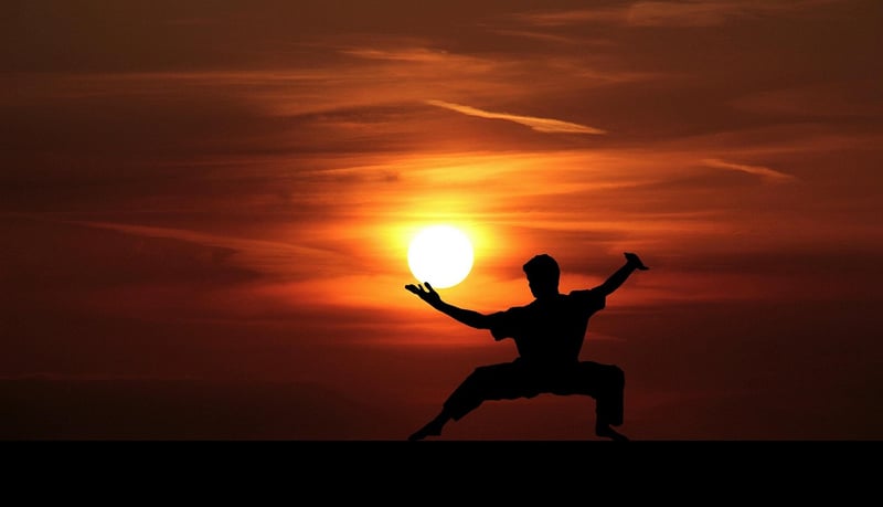 Sun Style Tai Chi Harmony